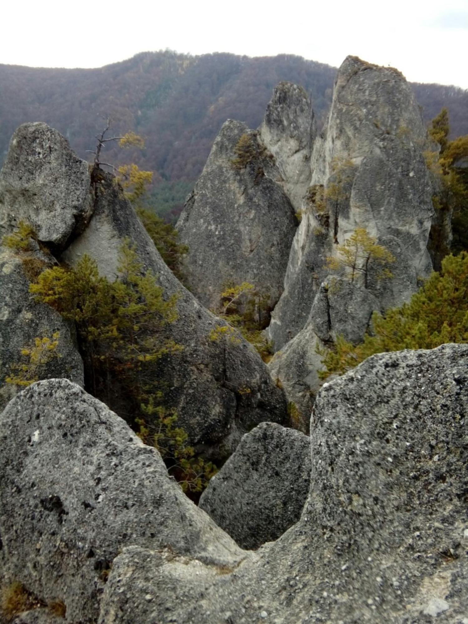 Castle Kastiel Kotesova Daire Dış mekan fotoğraf